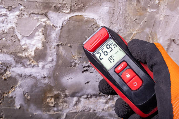 Best Industrial Mold Remediation in Parker, TX