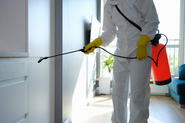 Best Attic Mold Remediation in Parker, TX